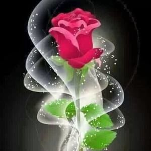 Meet your Posher, Diana